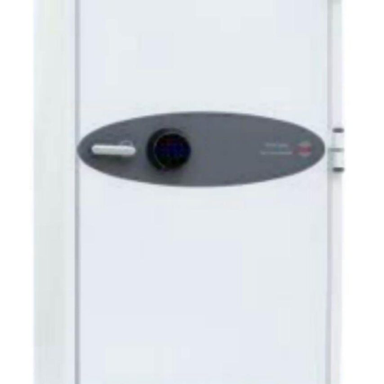 Phoenix Safe Spectrum Plus LS6011FS Size 1 Luxury Fire Safe with Silver Door Pan