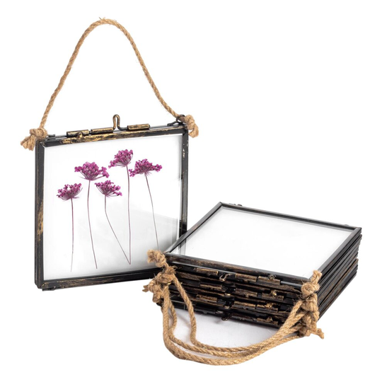 Nicola Spring Hanging Metal Photo Frames - Vintage Metal Floating Glass Picture Wall Display - 4" x 4" - Black - Pack of 5