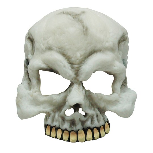 Official Forum BM385 Skull Half Face Mask (Glow In Dark) Masks Skeleton