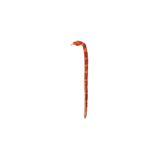 Aurora Jungle 50 Corn Snake