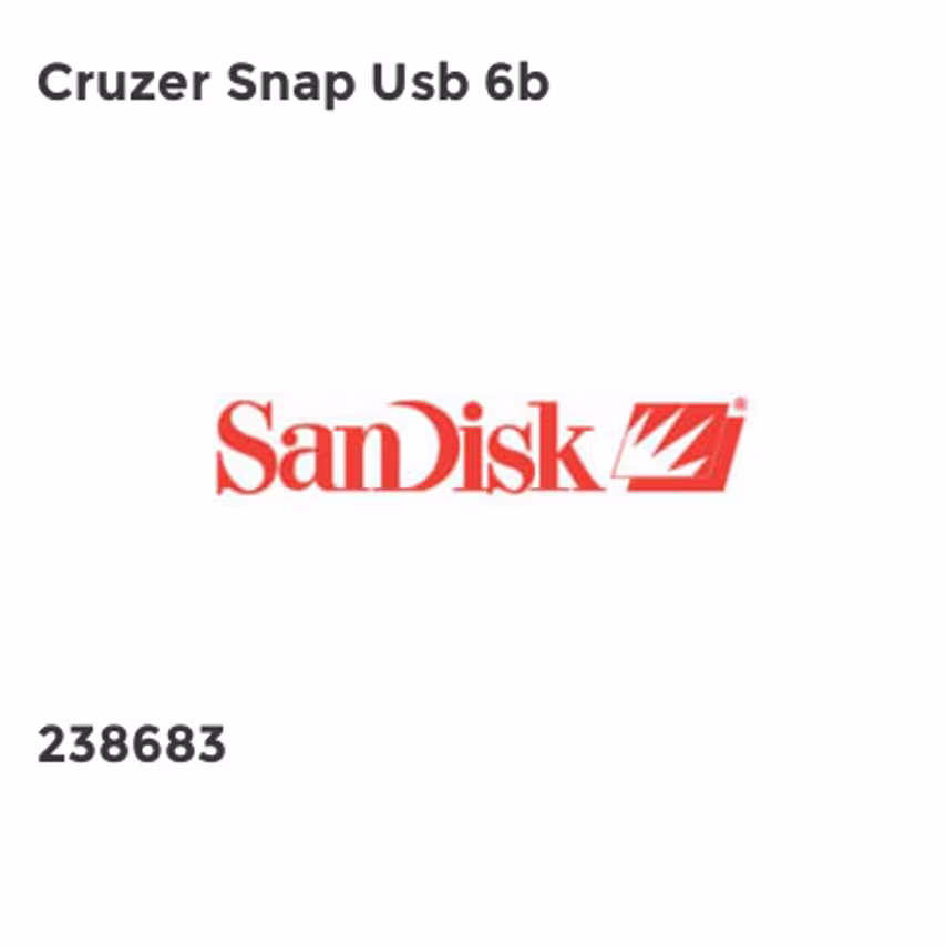 Sandisk Cruzer Snap Usb 6b