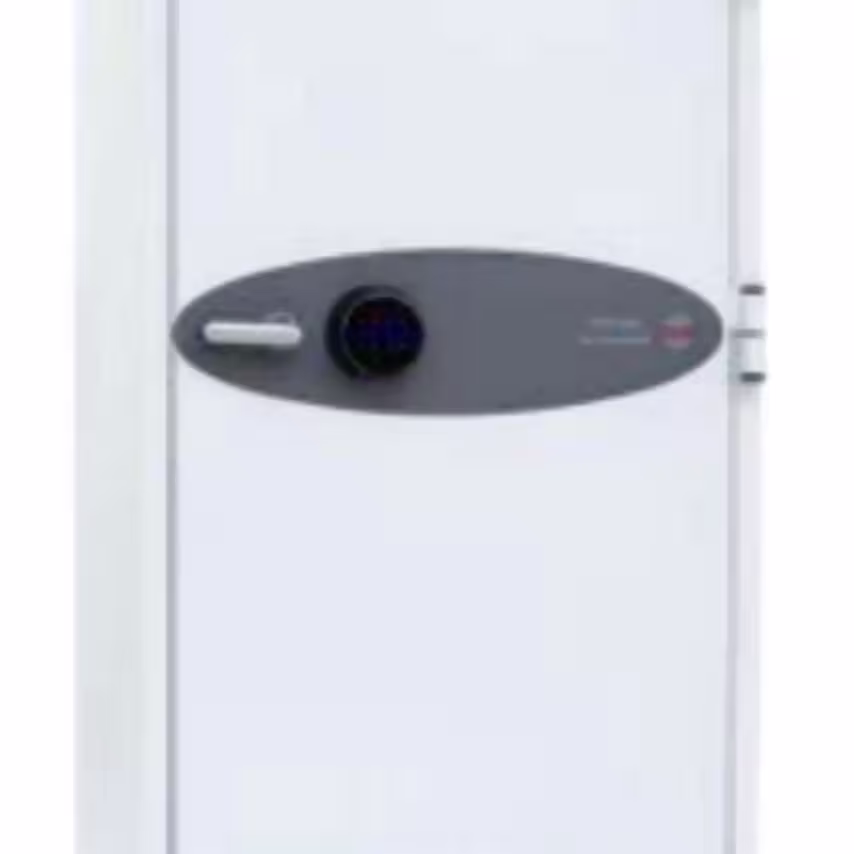 Phoenix Safe Spectrum Plus LS6012FG Size 2 Luxury Fire Safe with Gold Door Panel