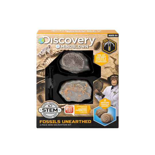 Toy Excavation Kit Mini Fossil 2 Piece