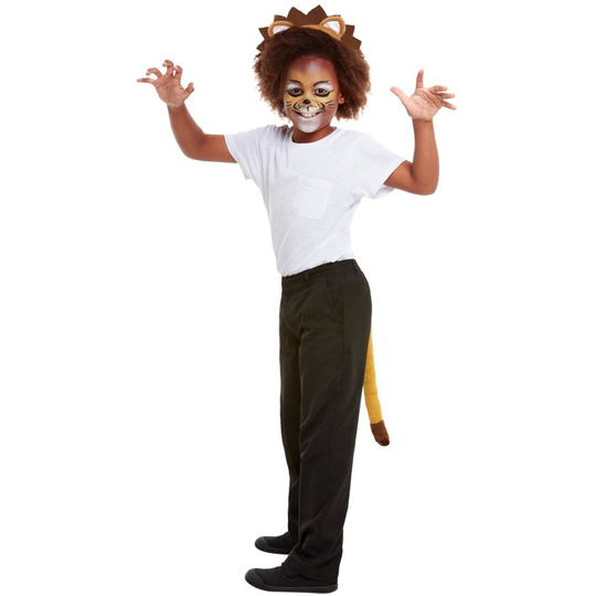 Childrens Lion Face Paints Headband & Tail