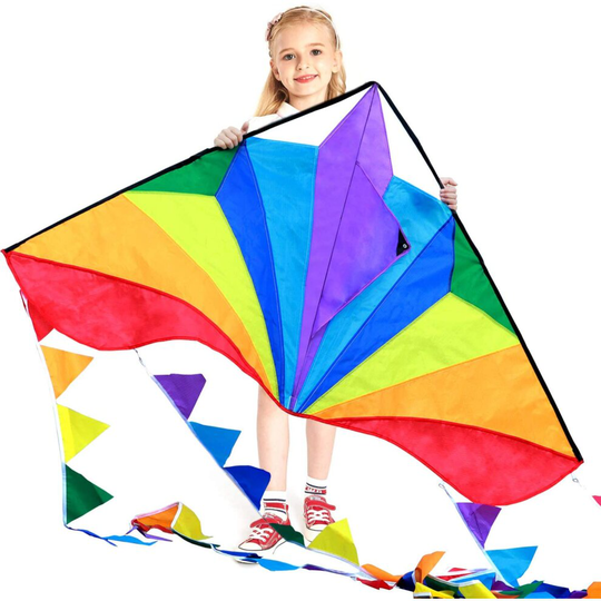 HONBO Large Delta Kites 54x31 For Kids and Adults For Beach Trip Outdoor games,Perfect for Beginners,String Line Included Toys Easy To Fly K