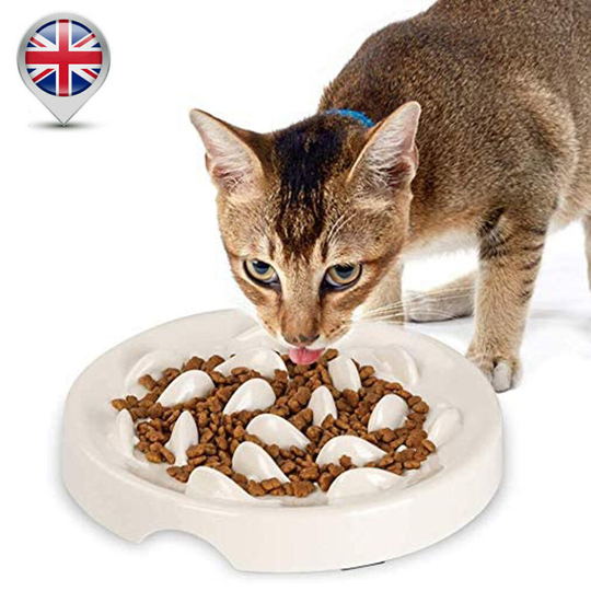 Slow Feeder Dog & Cat Bowl, Interactive Slow Feeder Feeding Bowl White