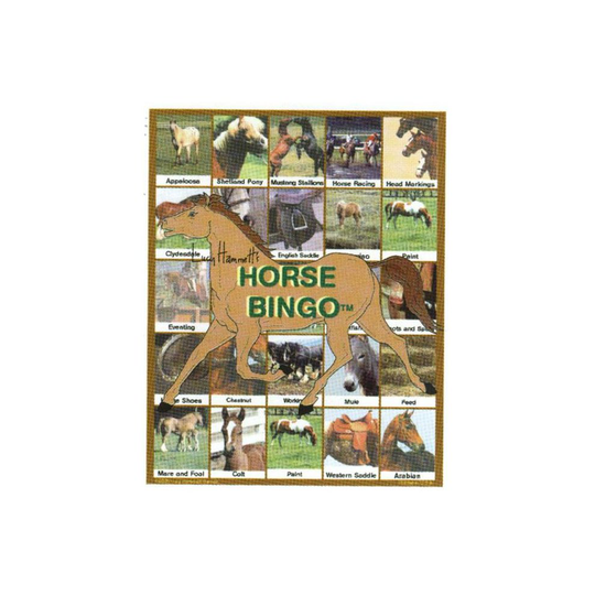 Lucy Hammet Bingo Games LH9177 Horse Bingo Educational Game