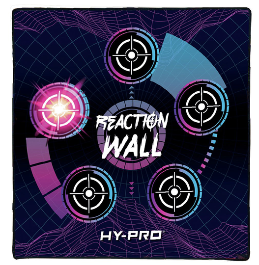 Hy-Pro 2 in 1 Reaction Wall Game