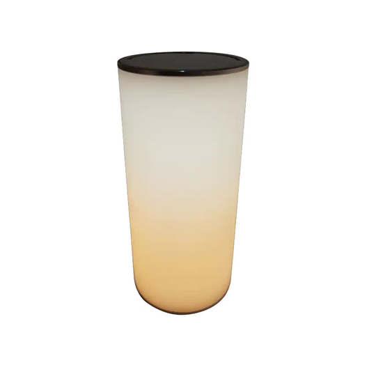 Native Lighting Reverse Lamp