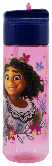 Disney Encanto Pink Bottle - 540ml