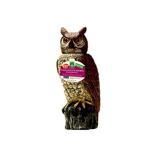Dalen Products DALENSROH4 Solar Activate Owl - Decoy Scarecrow Bird Deterrent