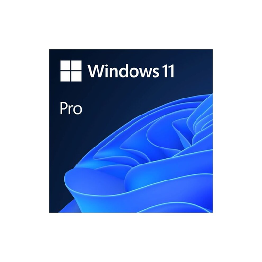 Windows 11 Pro
