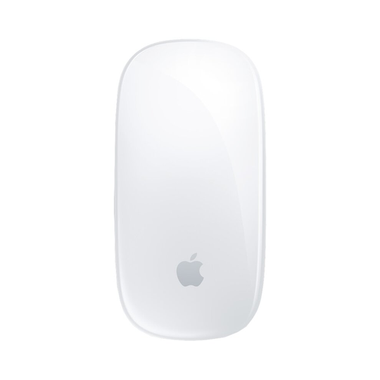 Apple Magic mouse Ambidextrous Bluetooth