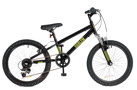 Piranha Harlem 20 inch Wheel Size Boys Kids Mountain Bike