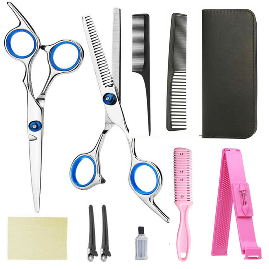 Professional Hair Cutting & Thinning Scissors Shears Hairdressing Set With Case