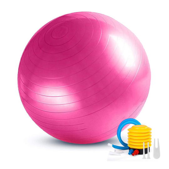 (Pink, 65 cm) Exercise Gym Ball Anti-Burst Pilates Yoga Core Birthing Training With Pump