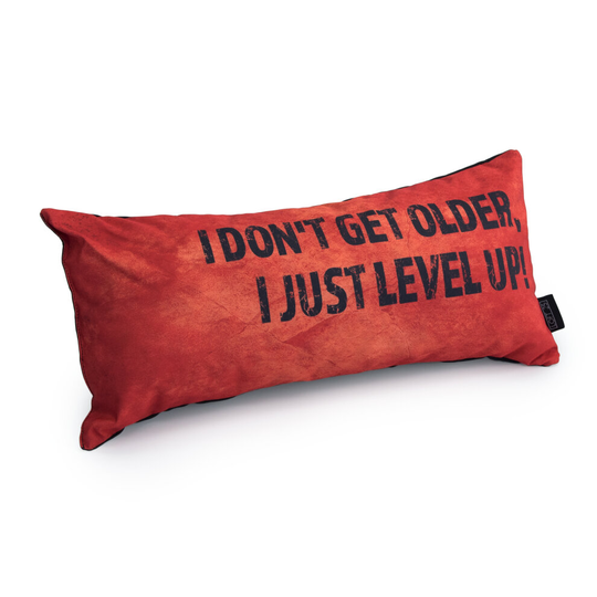 (I Don't Get Older I Just Level Up, Orange) GAME OVER Slogan Gaming Cushion