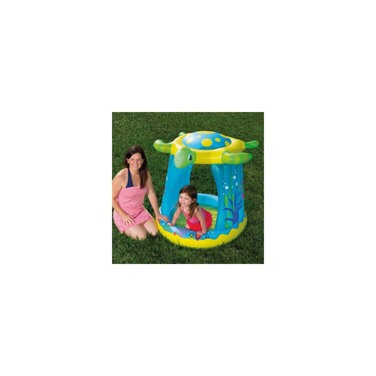 Turtle Totz Play Pool