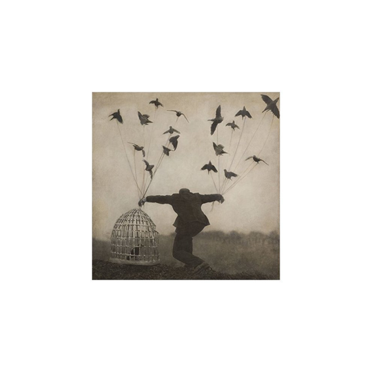 The Gloaming - 2 [VINYL]