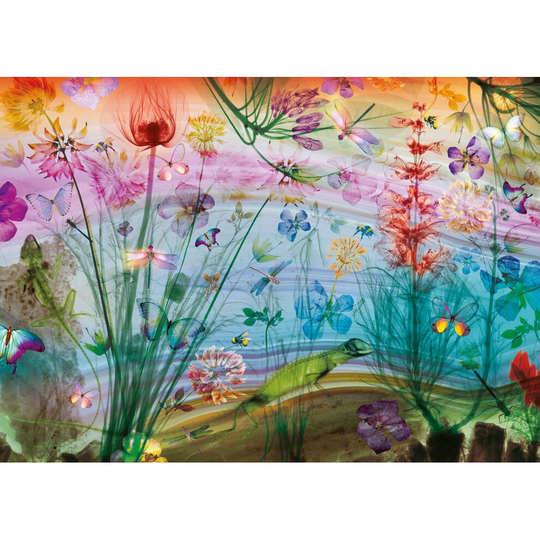 Gibsons See Through Nature Jigsaw Puzzle (1000 Pieces)