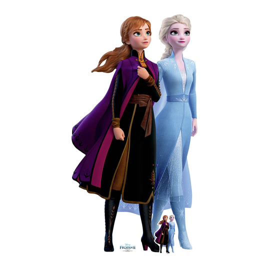 Star Cutouts Disney Frozen Anna Elsa Cardboard Cutout