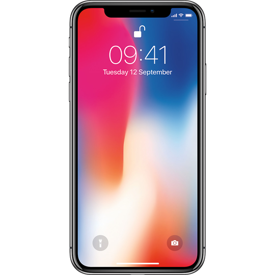 (Unlocked, 256GB) Apple iPhone X | Space Grey