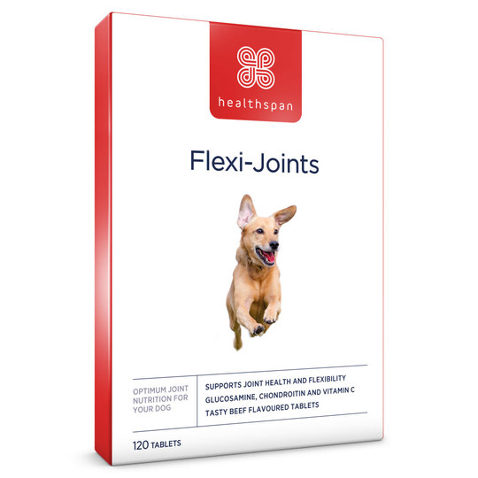 (240 Tablets) Healthspan Flexi-Joints for Dogs, Joint Health