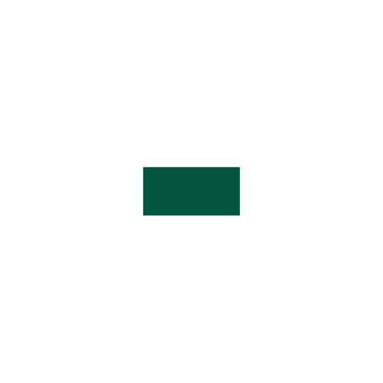 Dylon Permanent Fabric Dye 1.75oz-Dark Green