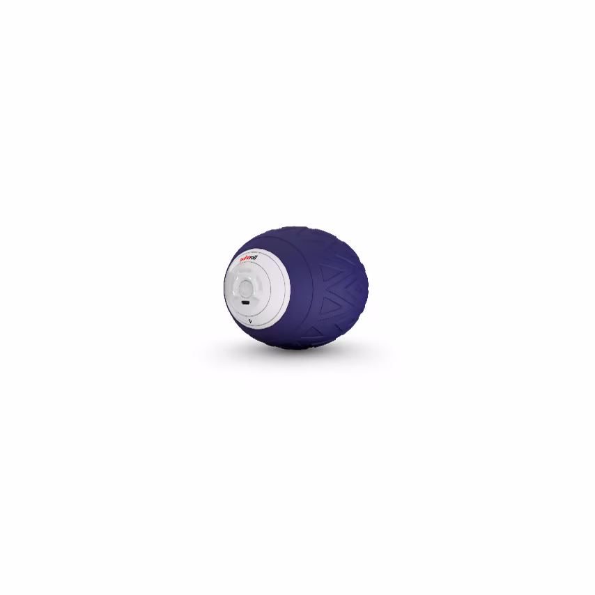 Pulseroll Massage Single Ball (Purple)