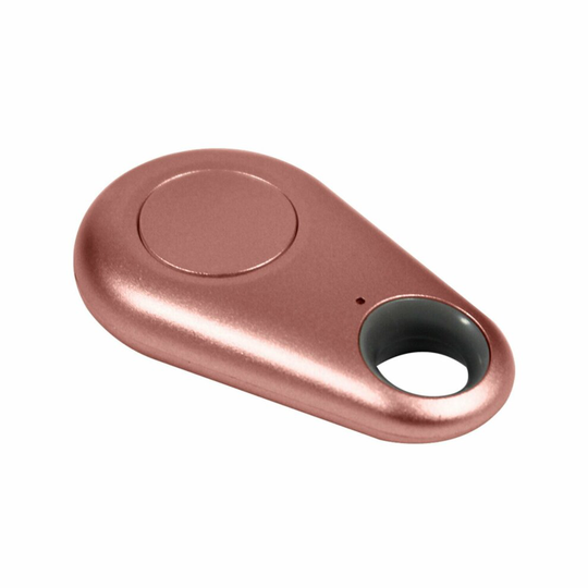 Aquarius Key Finder Rose Gold