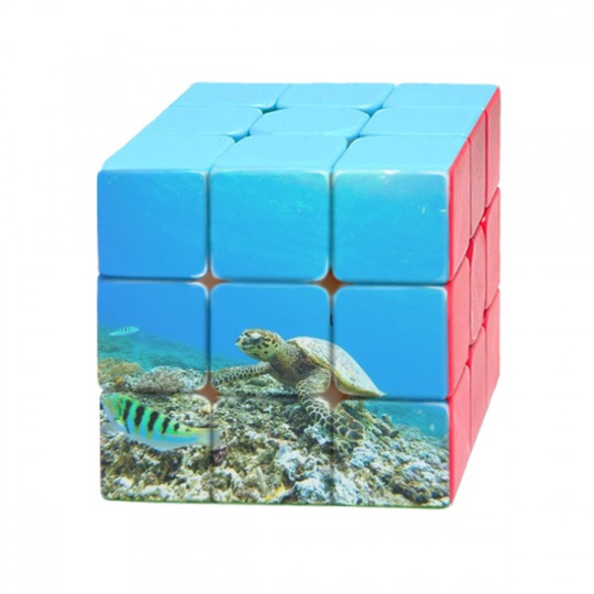 Ocean Sea Turtle Fish Science Nature Picture Magic Cube Puzzle 3x3 Toy Game Play