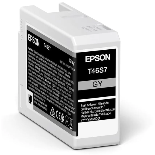 Epson Epson T46S6 Grey Pro10 Ink Cartridge 25ml - C13T46S700