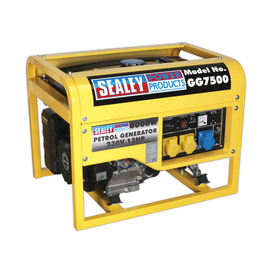 Sealey Generator 6000W 110/230V 13HP