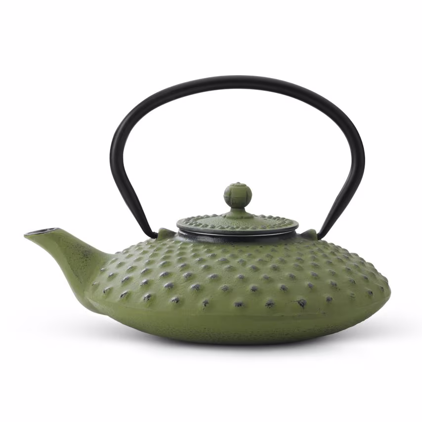 Bredemeijer Teapot Xilin Design Cast Iron 0.8L in Green