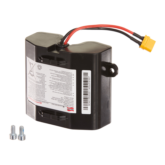 Razor Hovertrax Prizma Battery 24V