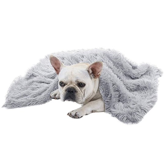 (Light Grey, M: 78x54cm) Pet Dog Cat Blanket Extra Large Washable Thick Cosy Warm Soft Velvet Throw Mat