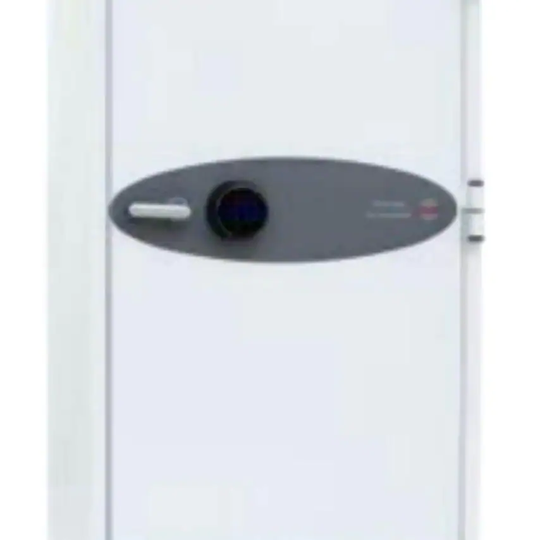 Phoenix Safe Spectrum Plus LS6012FS Size 2 Luxury Fire Safe with Silver Door Pan
