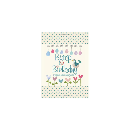 Bump to Birthday, Pregnancy & First Year Baby Journal : an award-winning journal / diary to help you hold onto memories of the growing bump, the b...