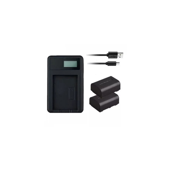 USB Battery Charger and 2 Batteries For Sony HDR-PJ330E Handycam