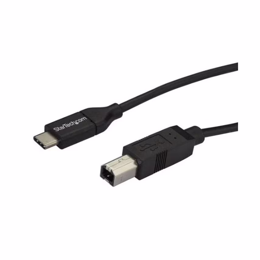 Startech 2m 6ft USB C to USB B Cable