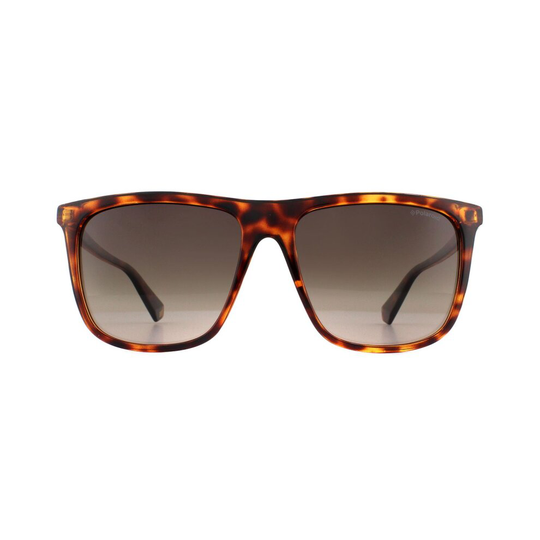 Polaroid Sunglasses 6099/S 086 LA Dark Havana Brown Gradient Polarized