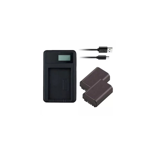 USB Battery Charger and 2 Batteries For Sony HDR-TG3 Handycam