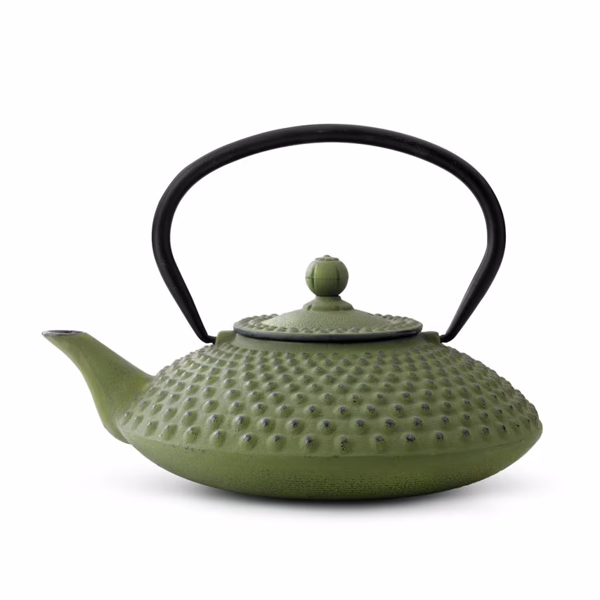 Bredemeijer Teapot Xilin Design Cast Iron 1.25L in Green