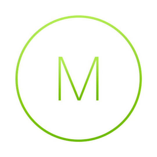 CISCO Meraki Ms355-24X2 Enterprise 677QN52