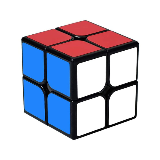 lunaoo Speed Cube Rubix Cube 2x2, Smooth Magic Cube Puzzle Toys Brainteaser Gifts for Kids and Adults