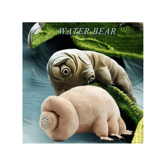 25cm Water Bear Plush Tardigrade Animal Doll, Lifelike Sea Creature Stuffed Animals Toy, Kawaii Kids Toys