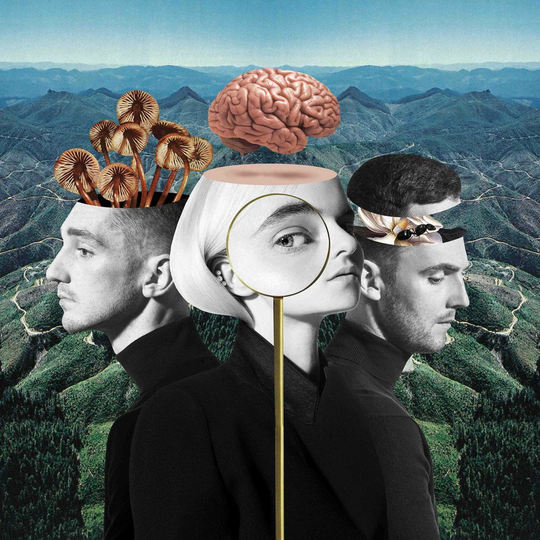 Clean Bandit - What Is Love? [CD]