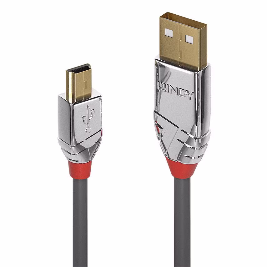 Lindy Cables & Adapters 5M Usb 2.0 Type A To Mini-B Cbl 4R70114- you get 10