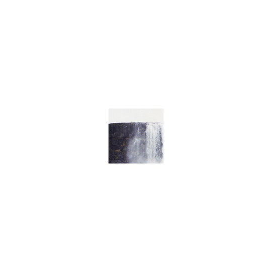 Nine Inch Nails - The Fragile: Deviations I - LP