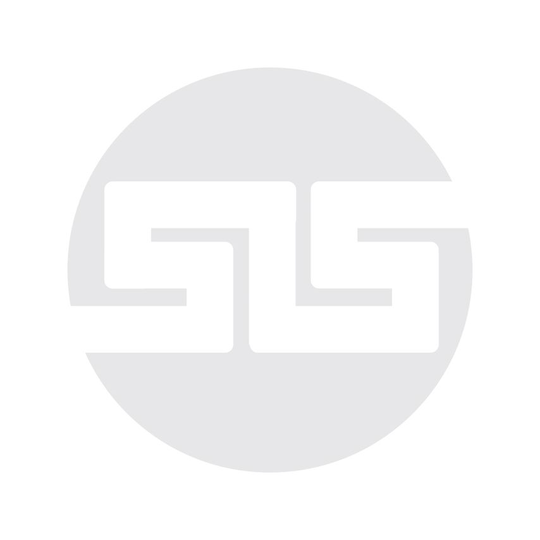 Gonotec Gonotec hand scanner for barcodes with power supply EACH